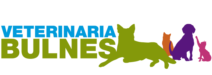 Veterinaria Bulnes